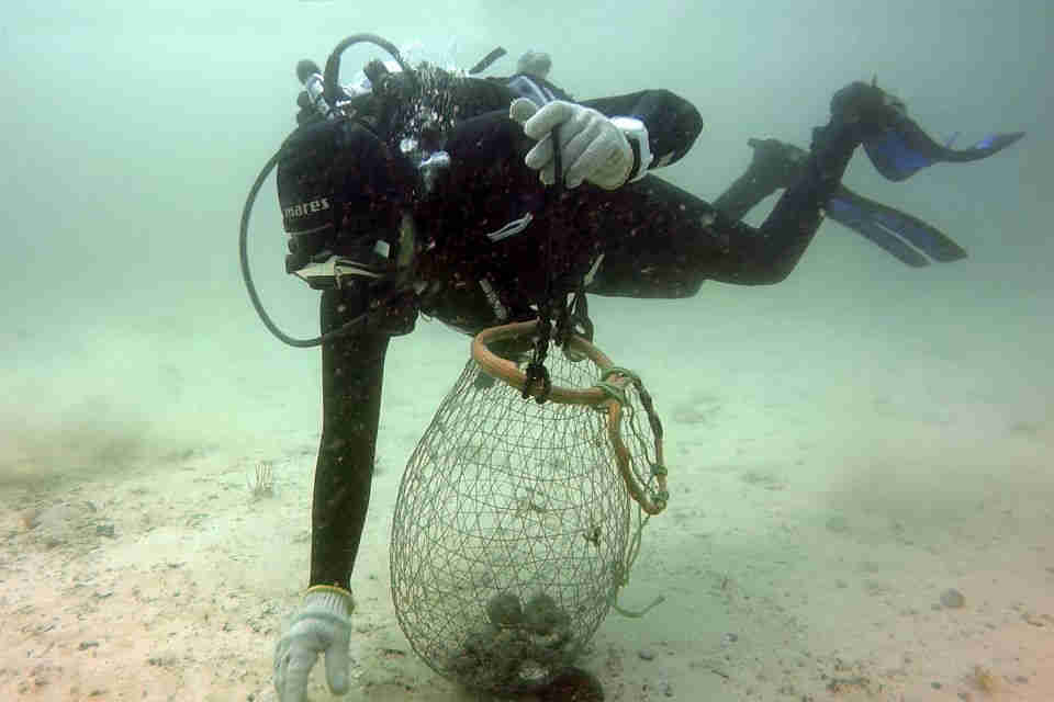 demande de visa pour Bahreïn