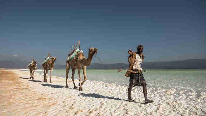 e-Visa pour Djibouti en ligne