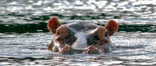 obtention de l'e-Visa Gabon pour séjour touristique