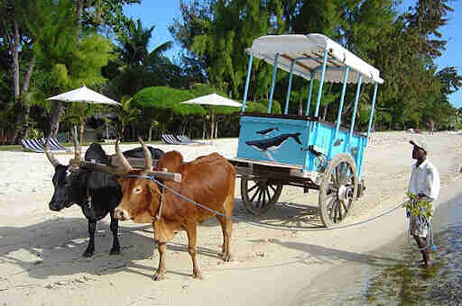 commande du visa Madagascar