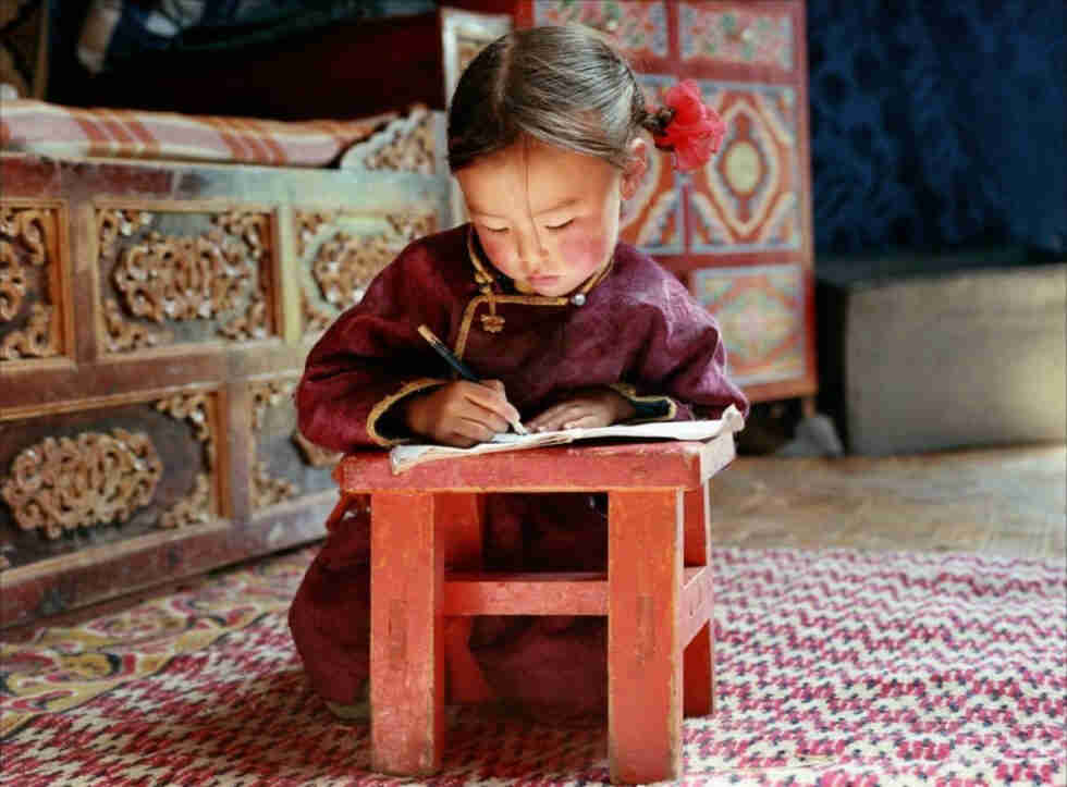 demande de visa électronique pour la Mongolie