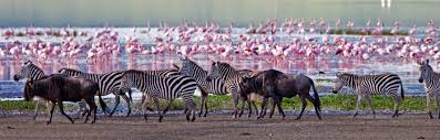 obtenir facilement un visa Tanzanie